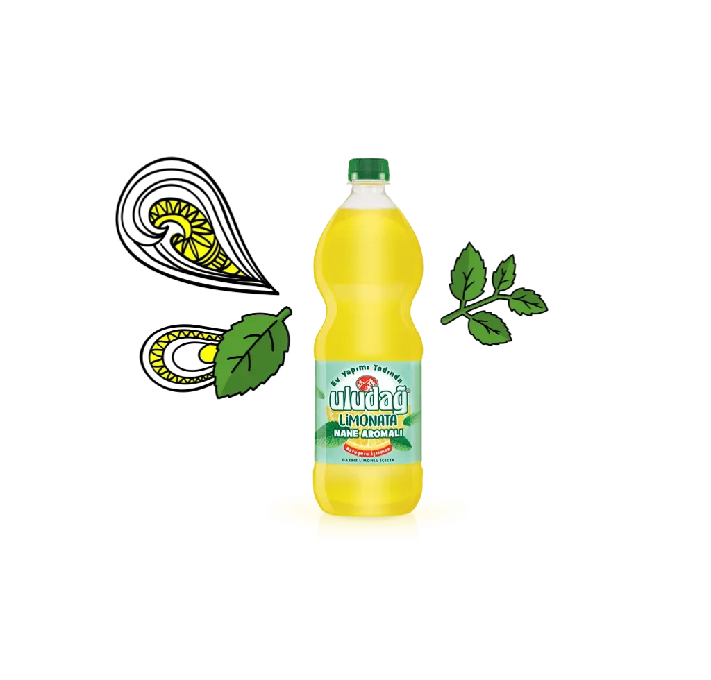 Uludağ Limonata Nane Aromalı